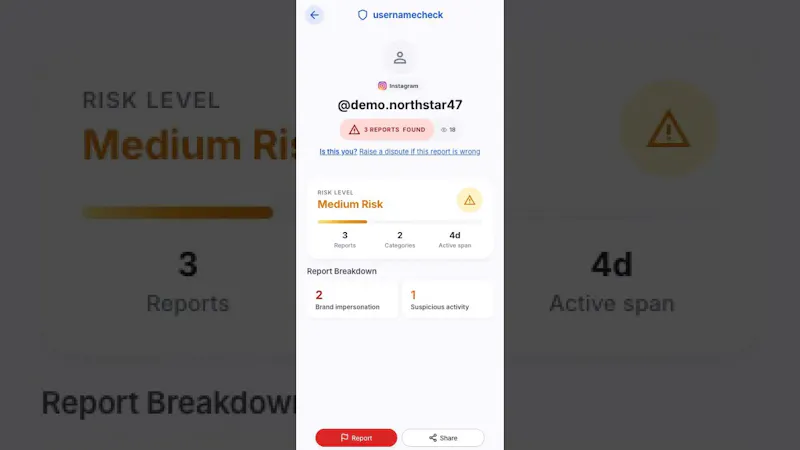 usernamecheck screenshot 1 (video preview)
