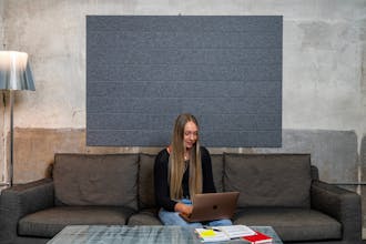 Burton Acoustix Wall Panels gallery image