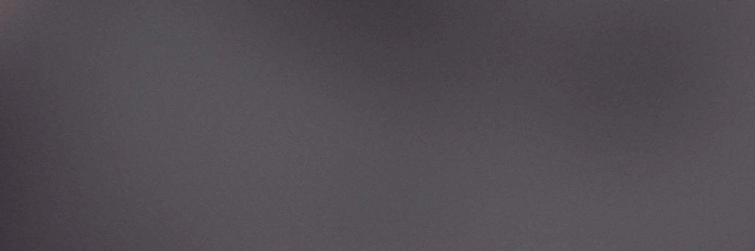 Zulficar Ali Muhamed cover