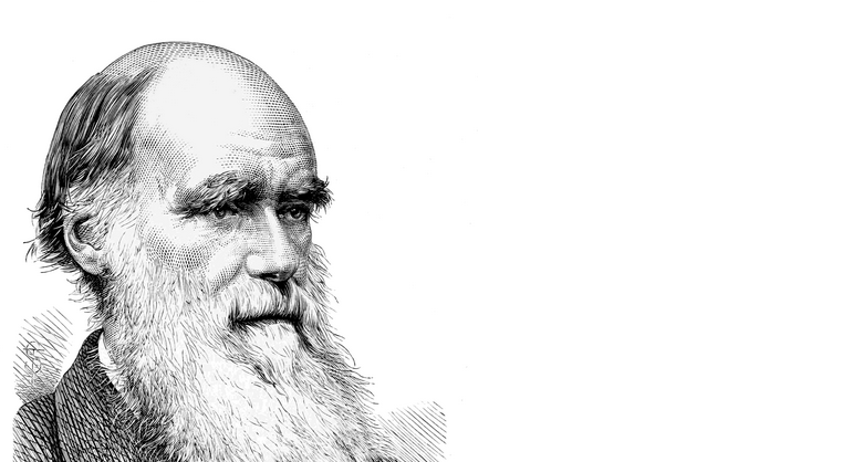 On The Origin Of Species gallery image