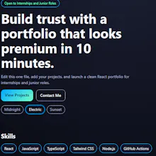 Job-Winning Developer Portfolio Template gallery image