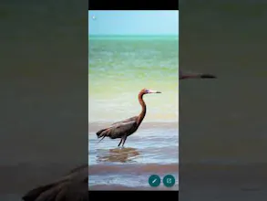 My Wallpapers gallery image