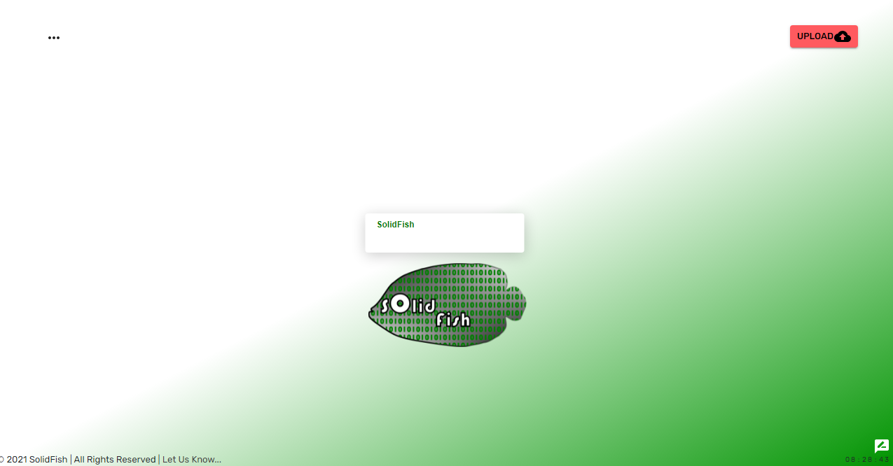 SolidFish gallery image