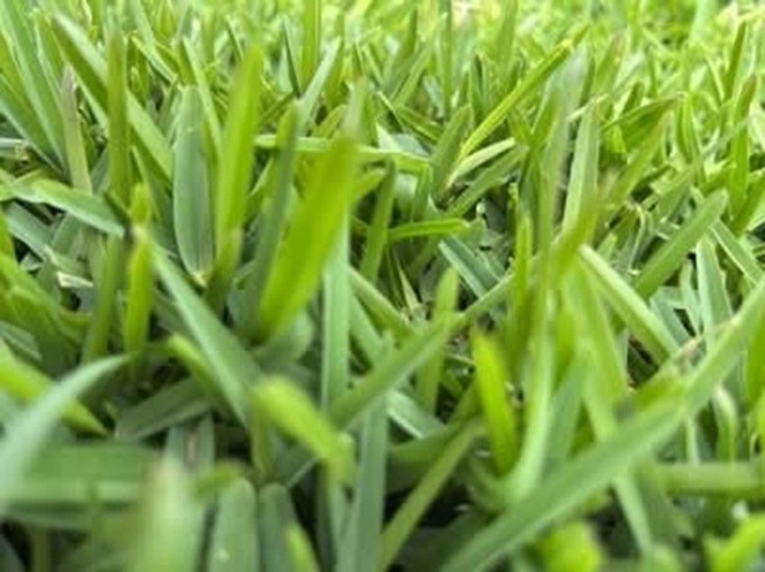 Ace Landscapes Supplies