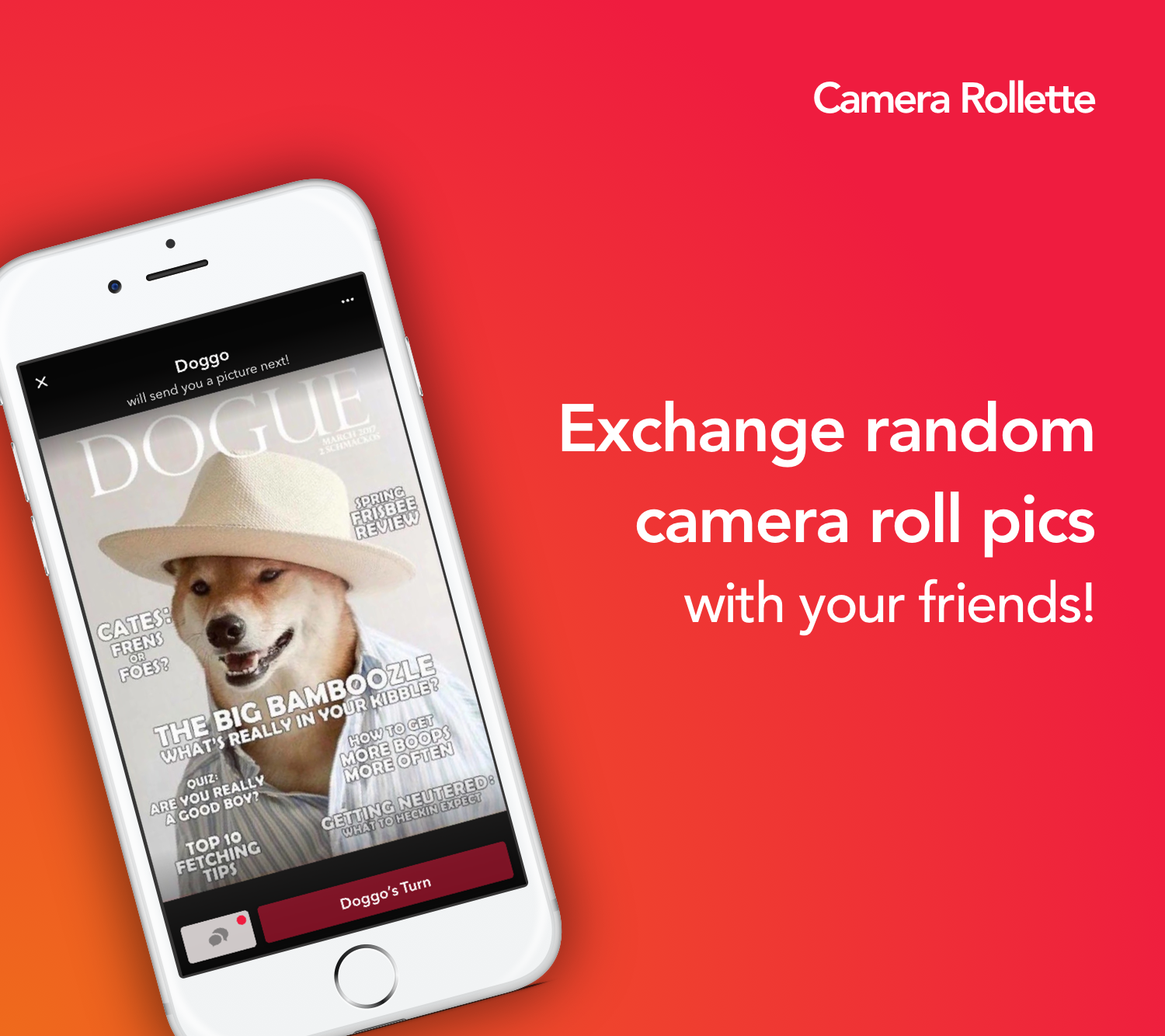Camera Rollette gallery image