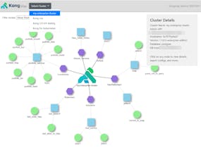KongMap gallery image
