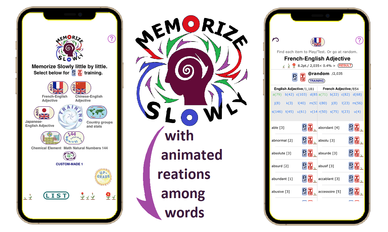 MEMORIZE SLOWLY gallery image
