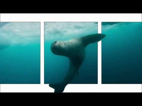 SplitDepthGIFs-Maker gallery image