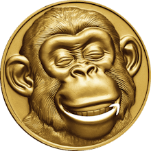 Seek Monkey gallery image