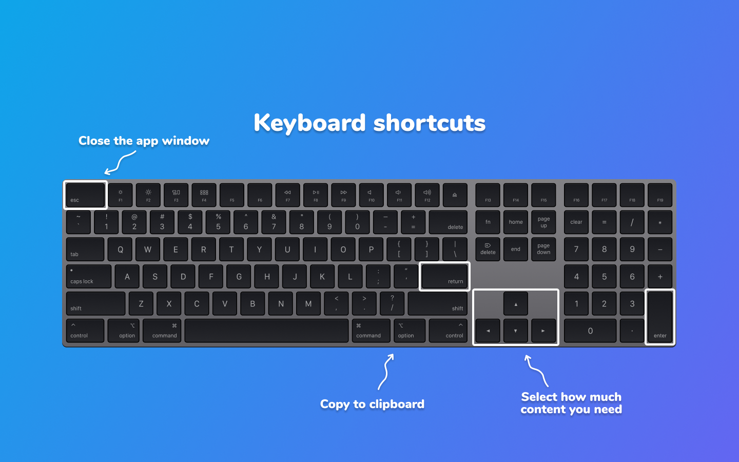 GetIpsum gallery image