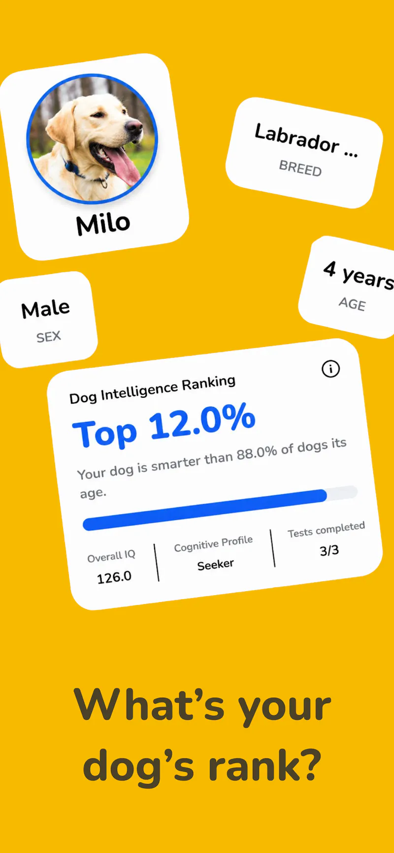 DogGenius screenshot 4