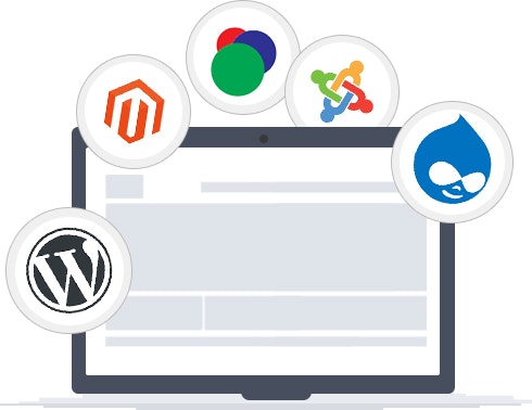Website Design & Development 