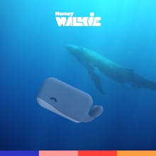 Money Walkie gallery image