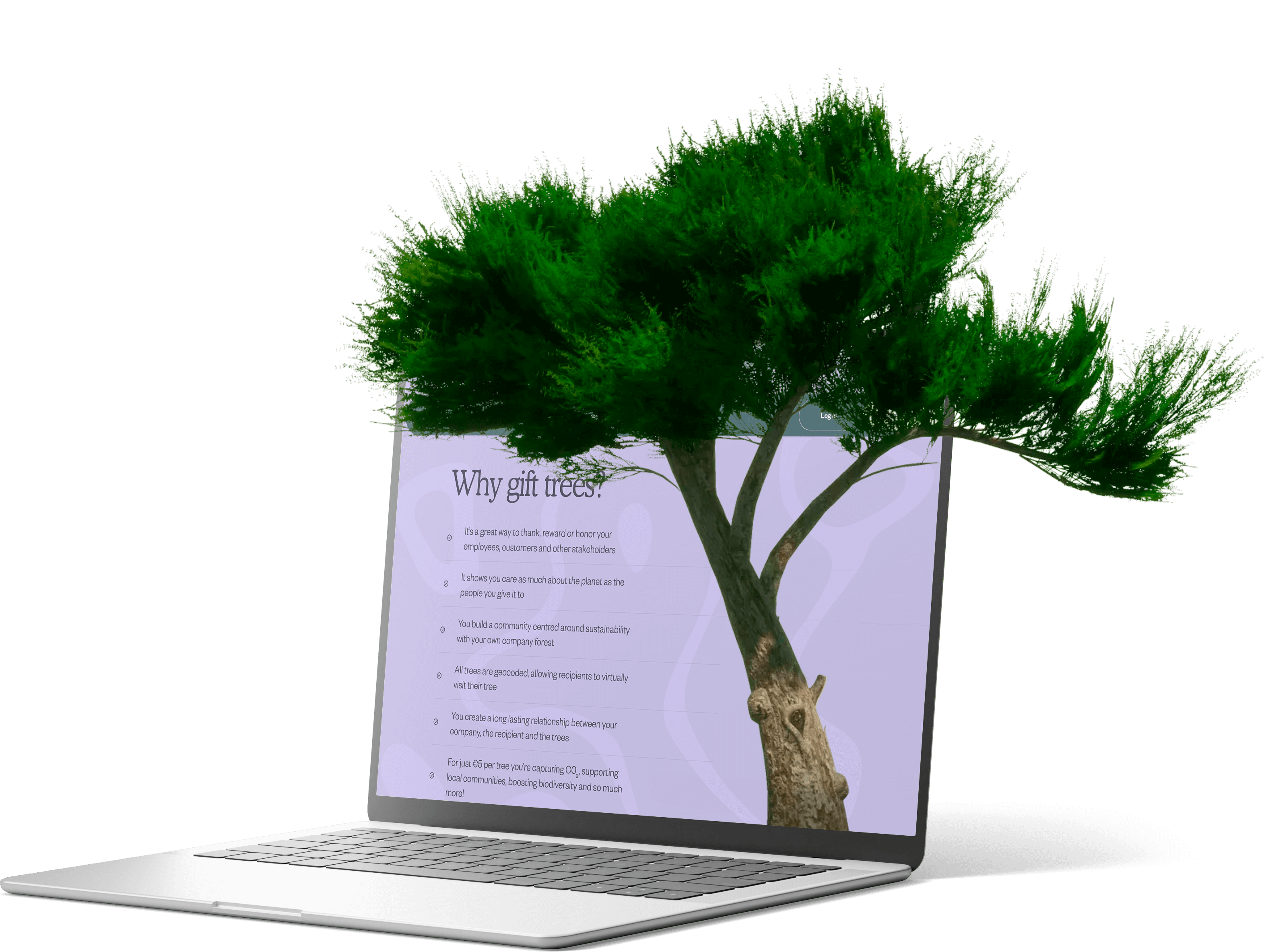 Média StepBytree - Offrez un arbre.Cultiver une forêt.Faire un impact. 11