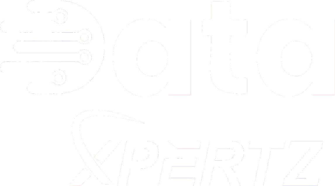 Servicios de entrada de datos - Dataxpertz
