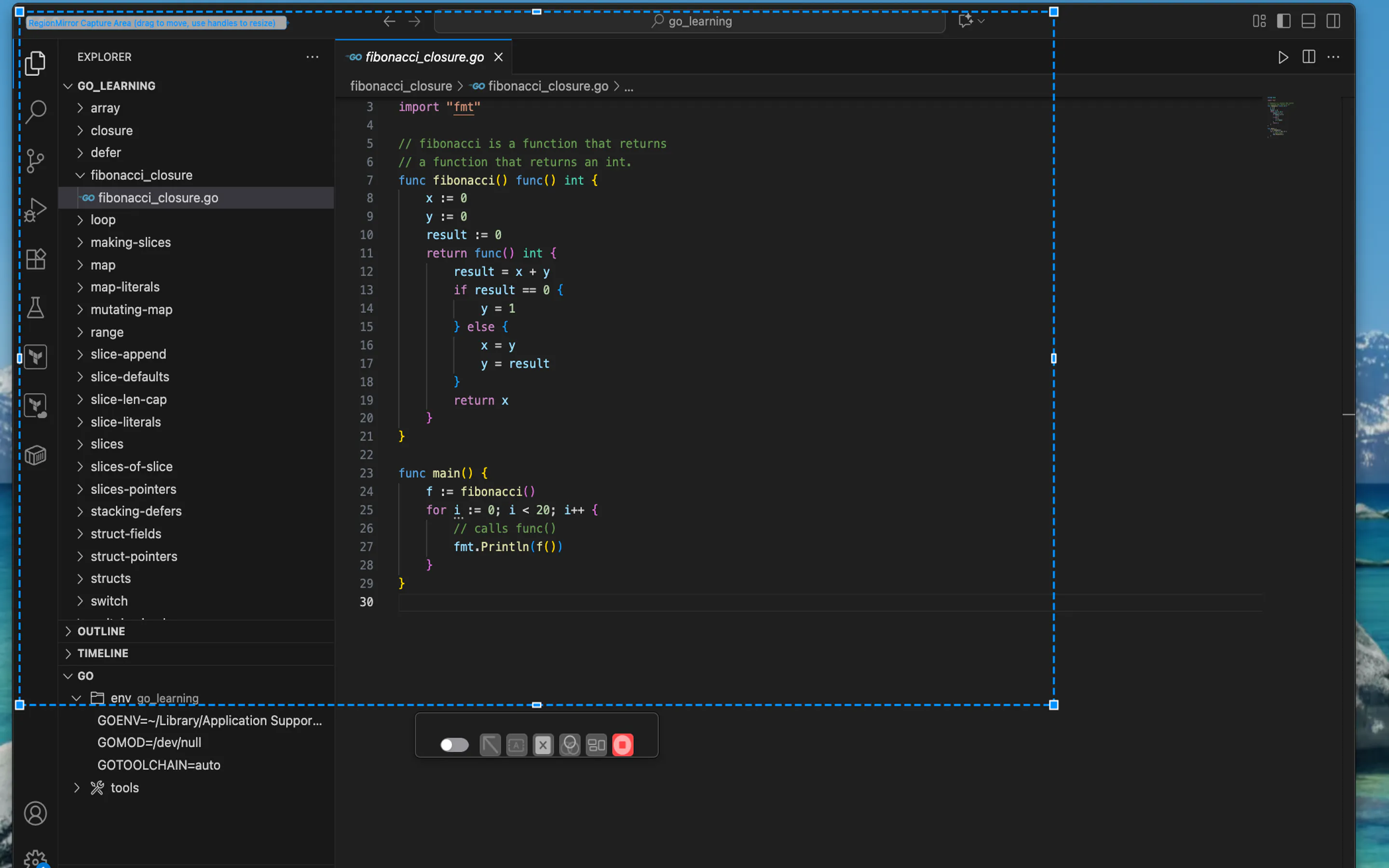 RegionMirror screenshot 4