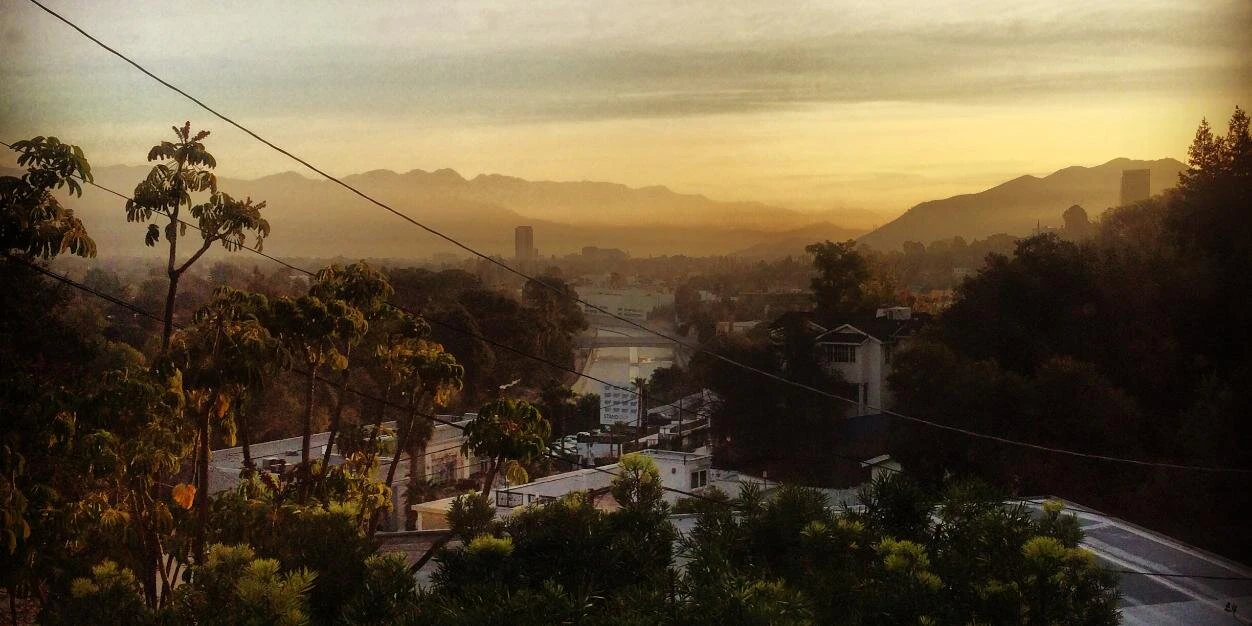 Davis Siksnans cover