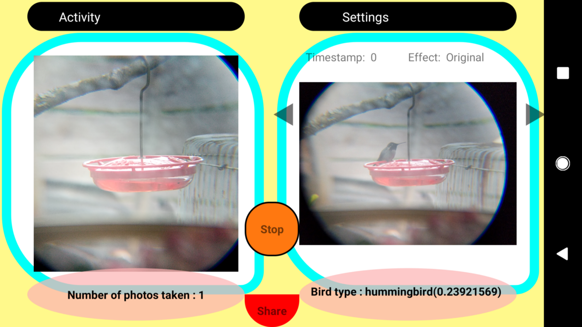 Birdfie gallery image