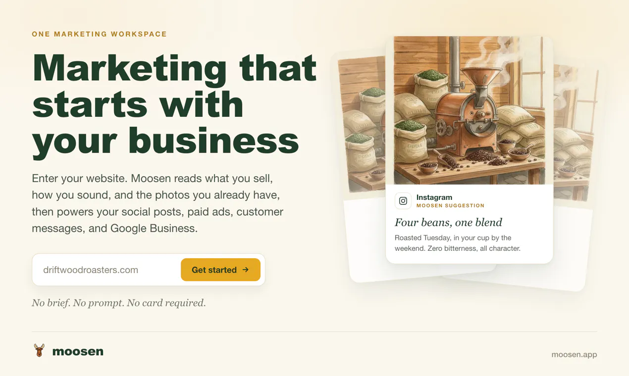 Moosen gallery image