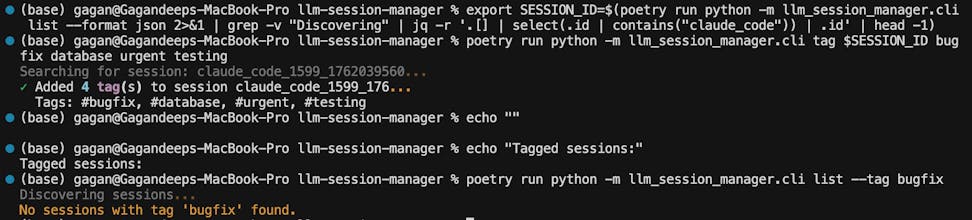 LLM Session Manager gallery image