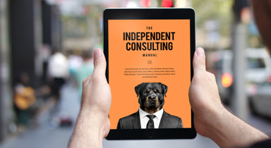 The Independent Consulting Manual gallery image