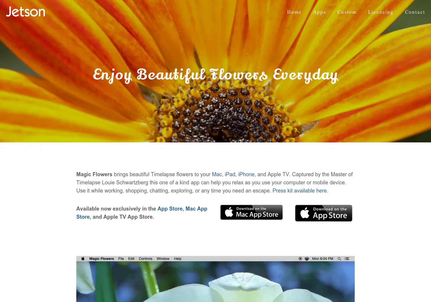 Magic Flowers