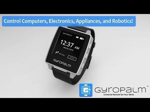 GyroPalm gallery image