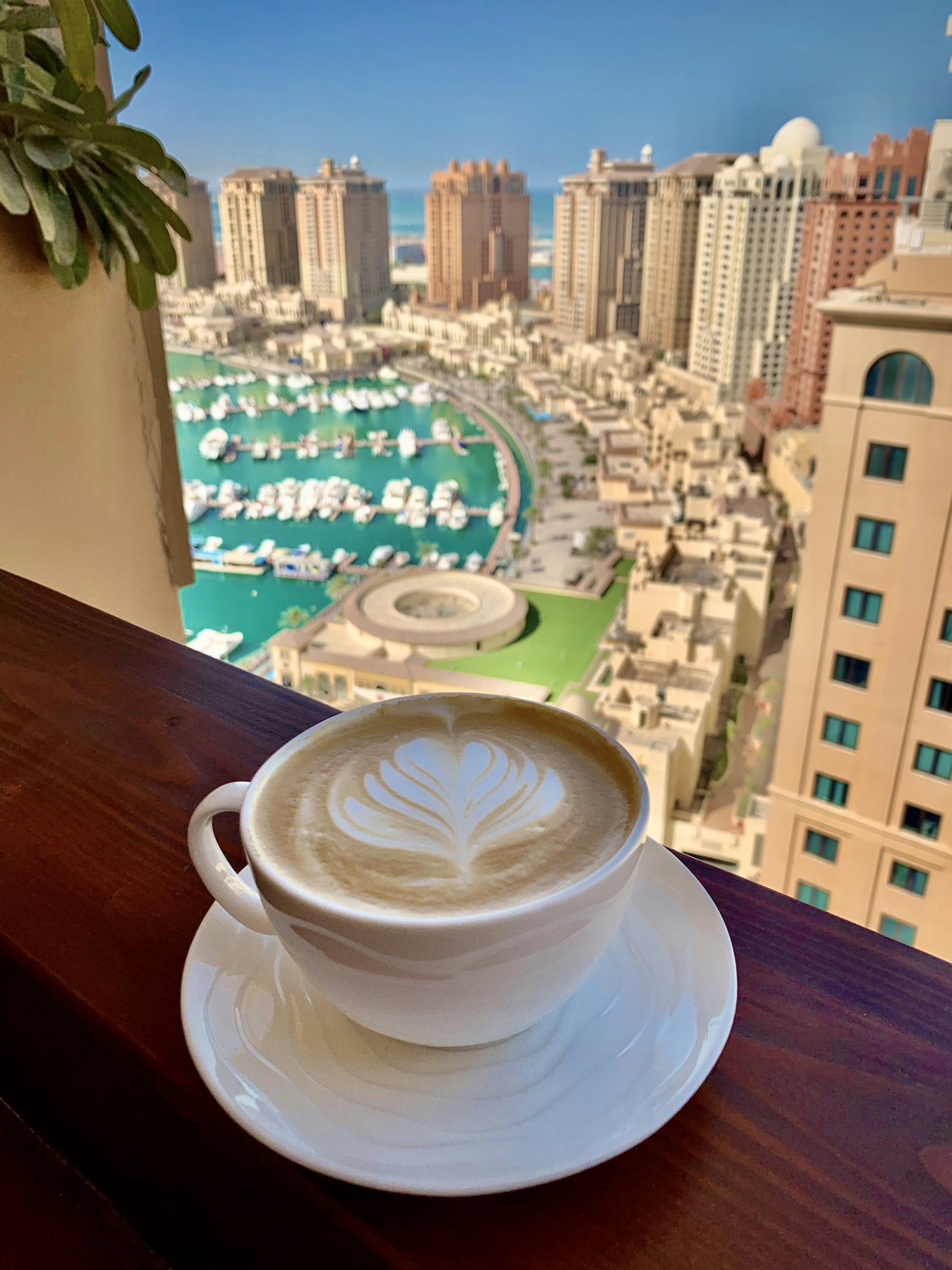 Viewnary gallery image