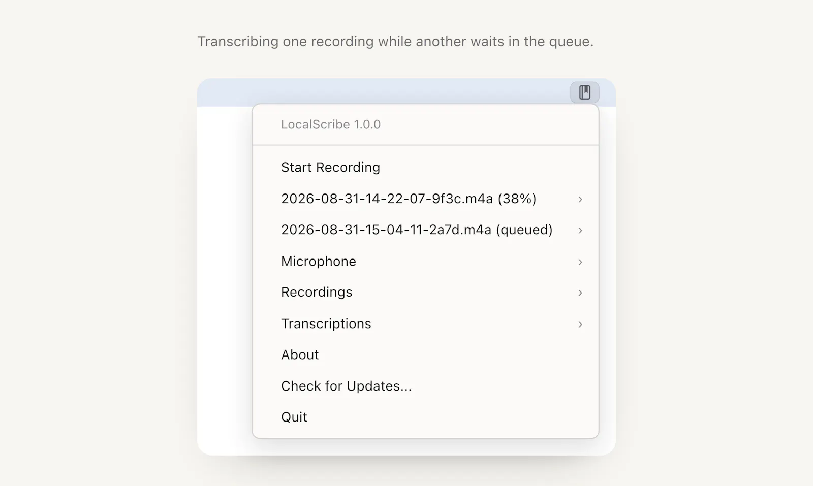 LocalScribe. Transcribe locally on Mac. screenshot 4