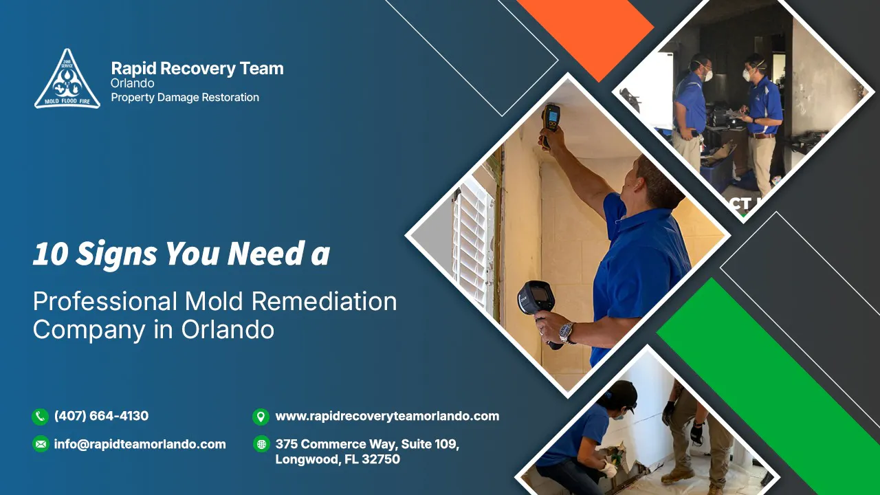 Mold Remediation Company in Orlando gallery image