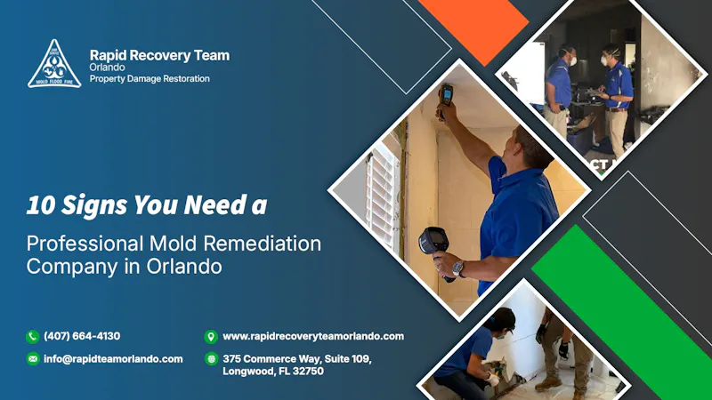 Mold Remediation Company in Orlando screenshot 1