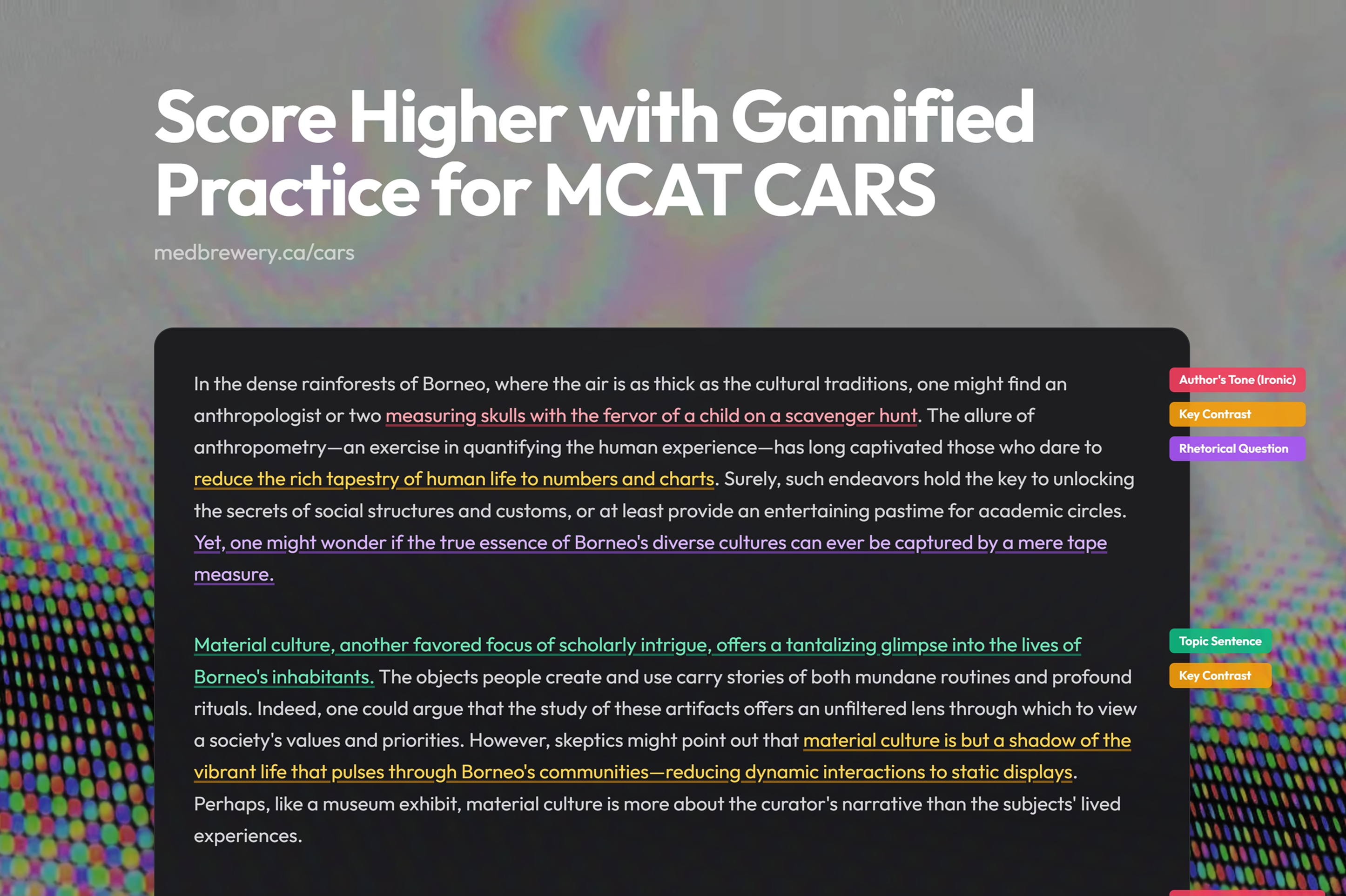 MedBrewery gallery image