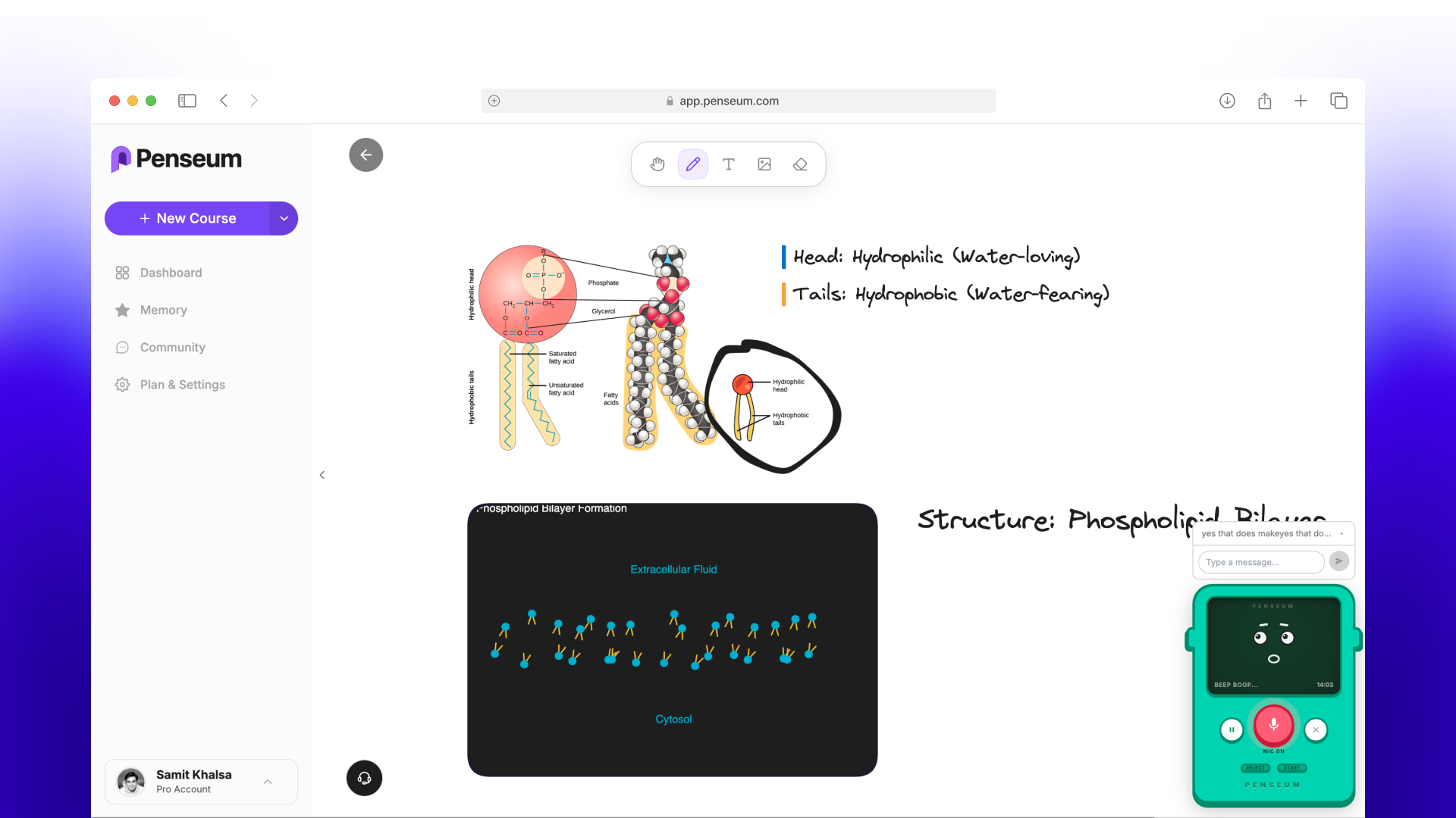 Penseum gallery image