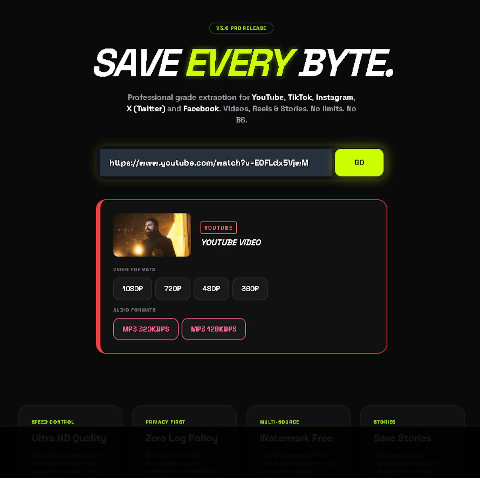 VidSaver screenshot 2