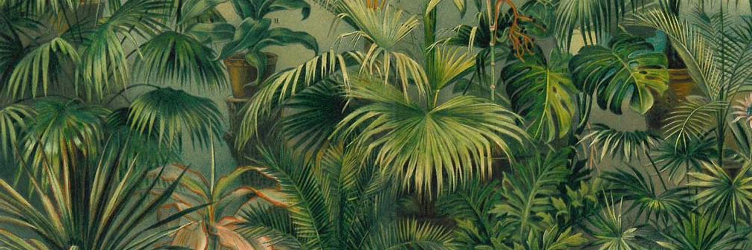 ProductHunt banner for @juju
