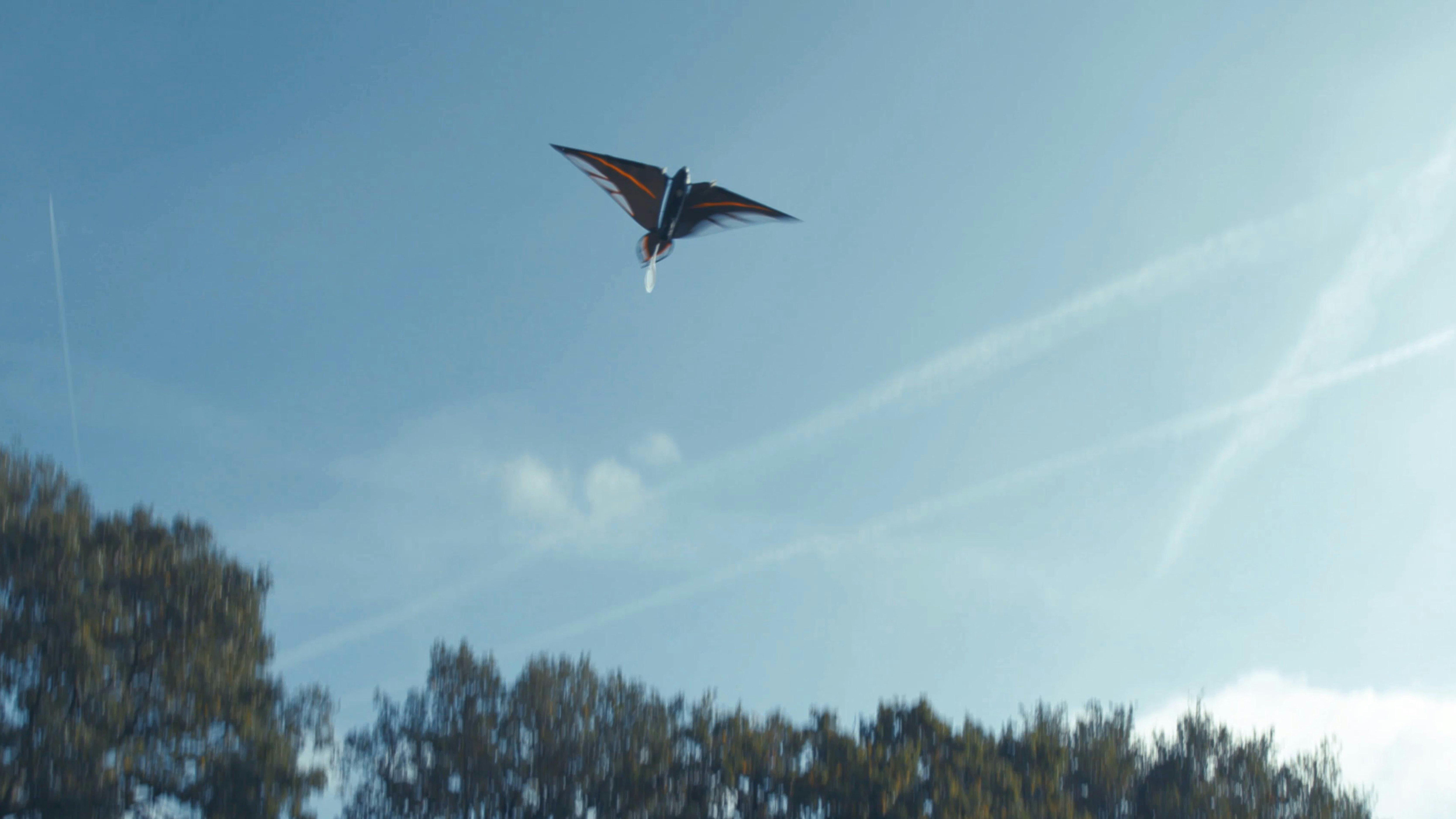 The Swift, bird-like flying robot gallery image