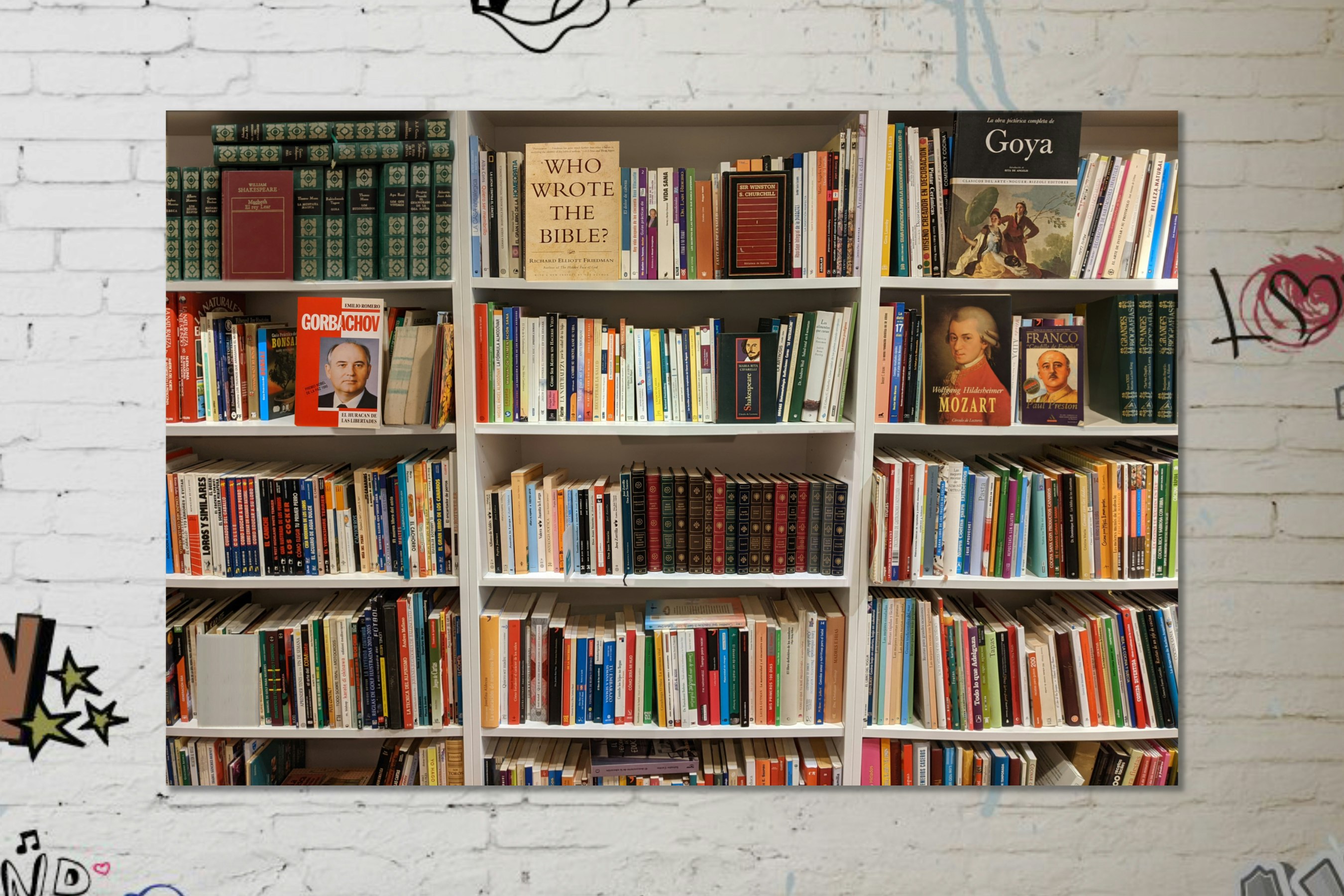 The Work From Home Backdrop gallery image