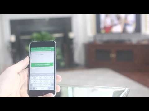 Badger gallery image