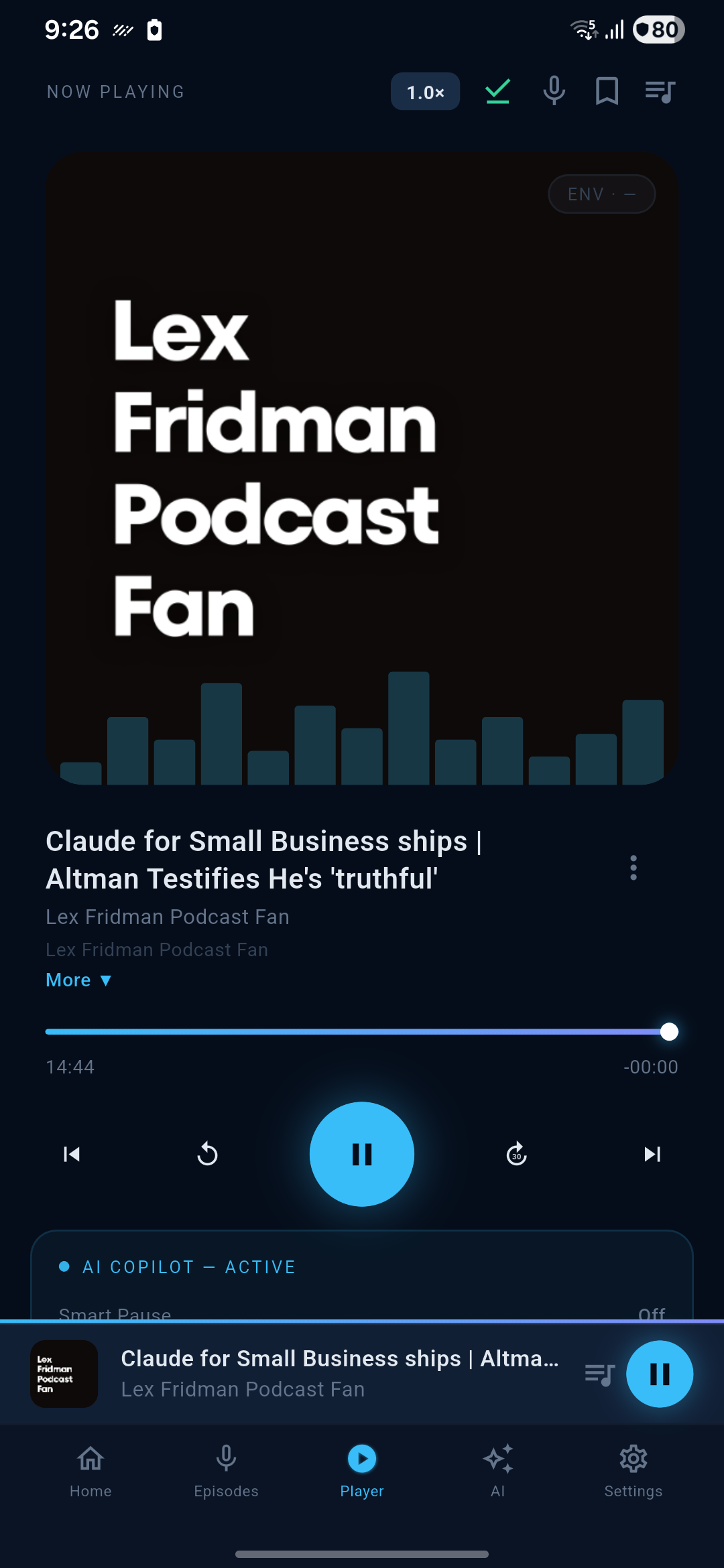 Lucidcast gallery image