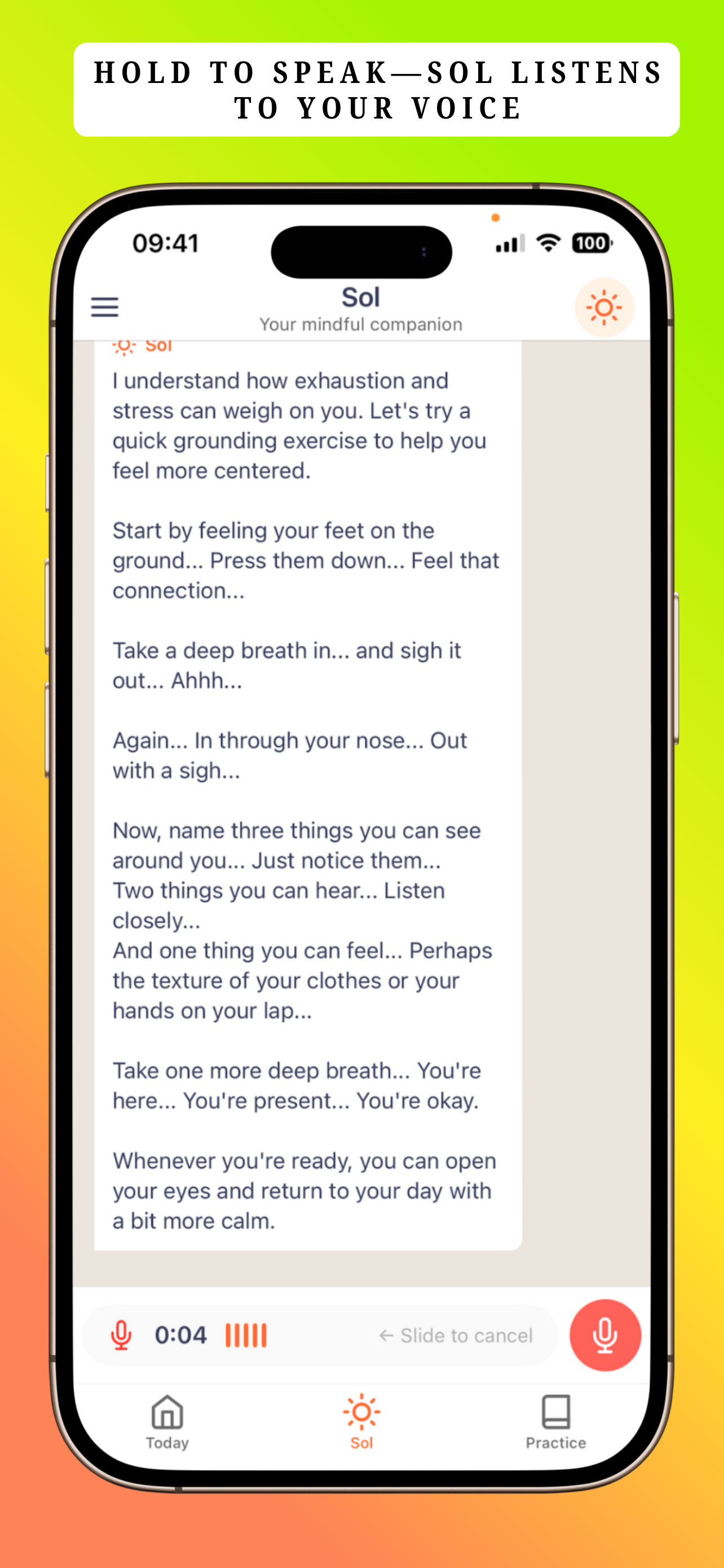 Presente - Voice AI Companion gallery image