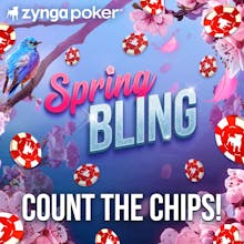 Texas HoldEm Poker gallery image