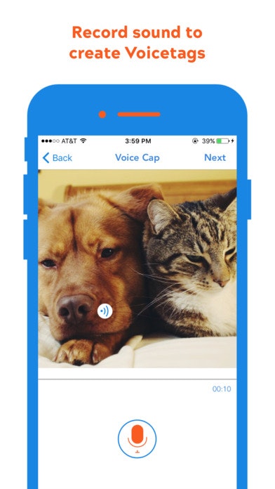 Snowroll gallery image