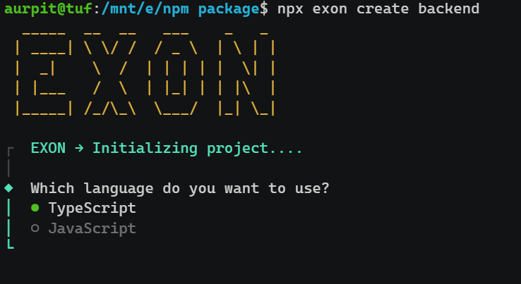 exon-cli - Main product screenshot demonstrating key features and user interface