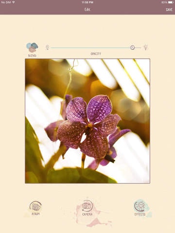 Lumiè gallery image