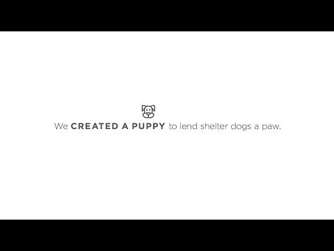 Lola The Mutt gallery image