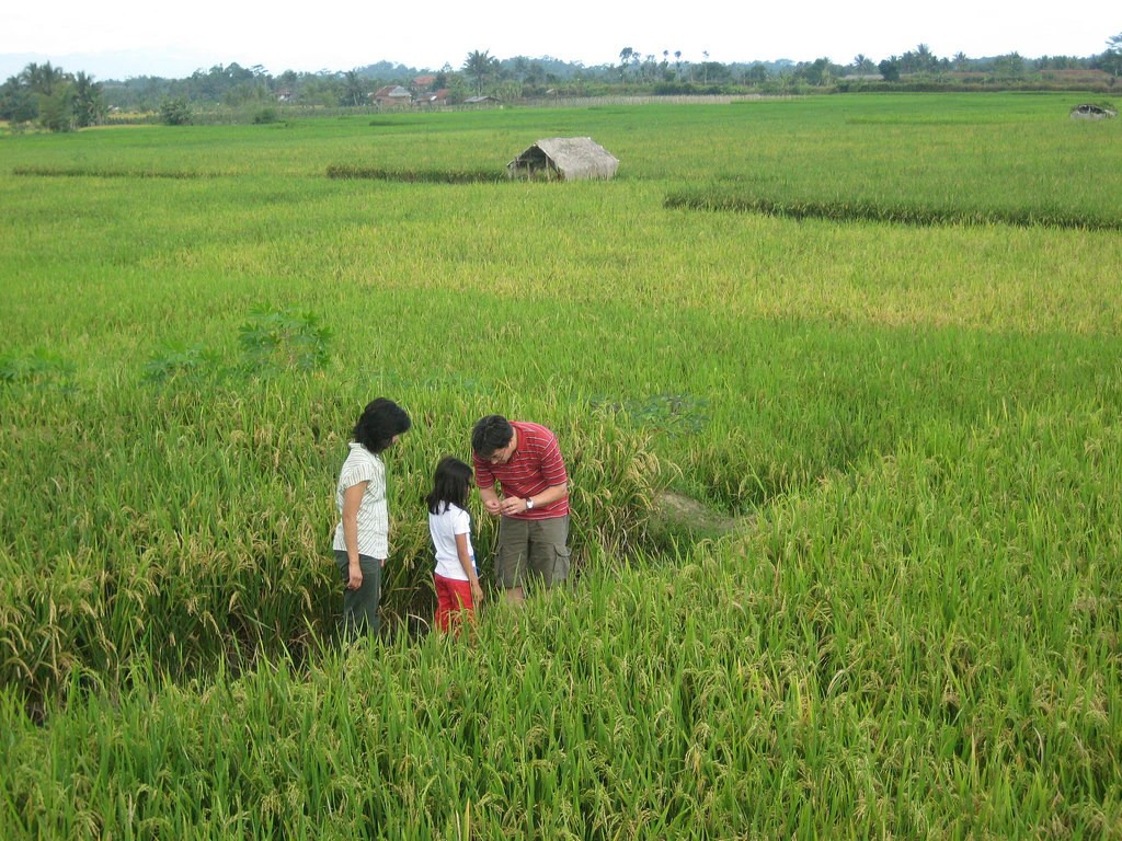 Herwinto C. Sutantyo cover