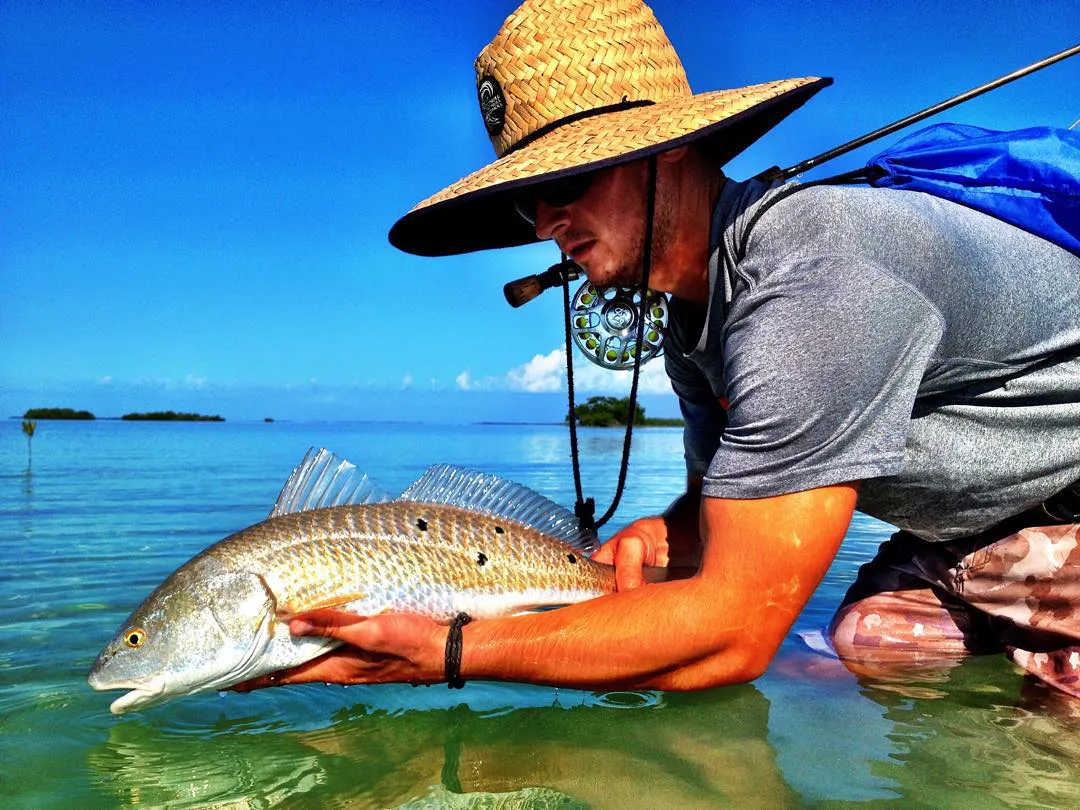 Badfish