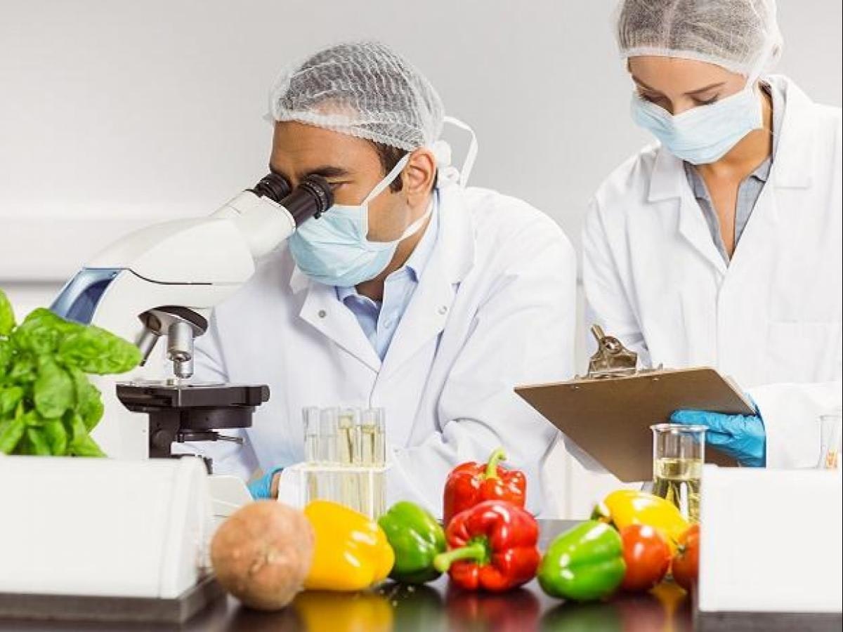 fssai-food licence gallery image