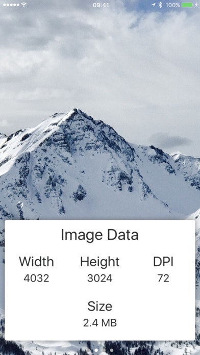 Metadata gallery image