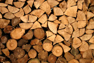 Punjab Timbers gallery image